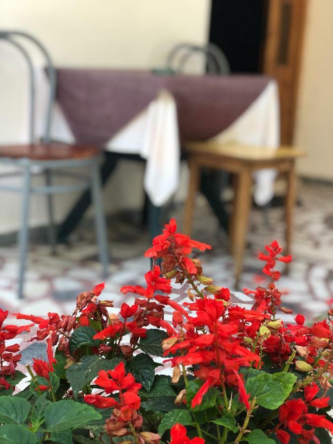 Guest House Plima 2 Будва Экстерьер фото
